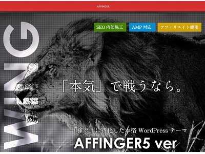 AFFINGER5